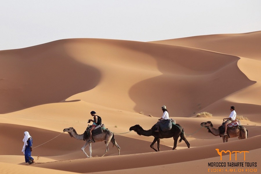 最好的梅爾祖卡駱駝徒步旅行 在撒哈拉沙漠的游牧帳篷中住1晚
