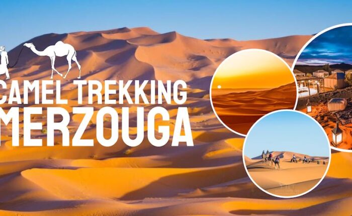 BEST Merzouga Camel Ride & Sahara Desert Camping - 1 Night