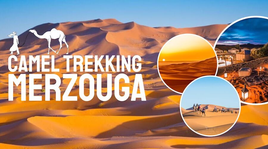 BEST Merzouga Camel Ride & Sahara Desert Camping - 1 Night