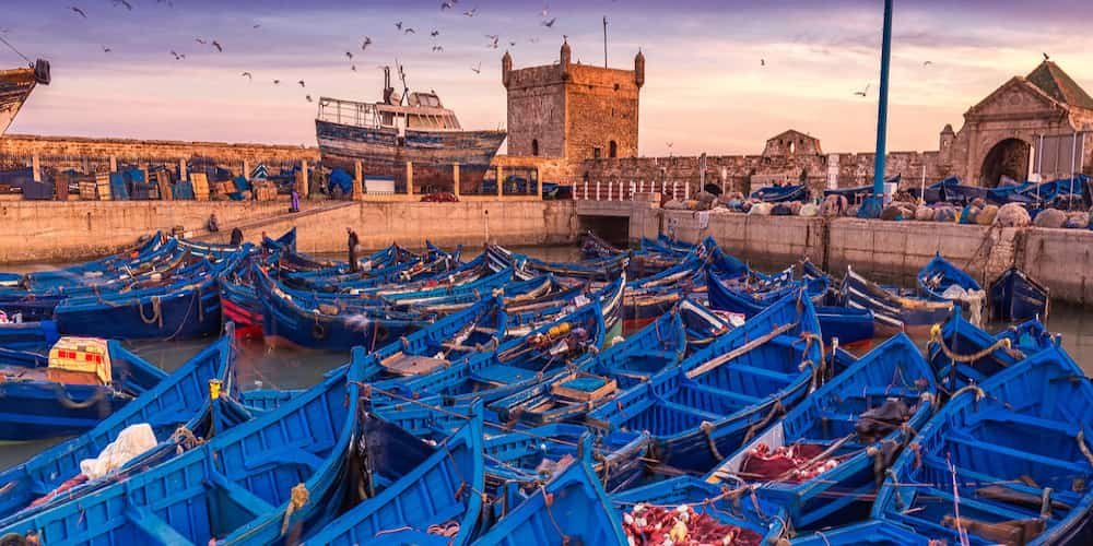 Discover the Coastal Beauty of Essaouira, Morocco Discover the Coastal Beauty of Essaouira, Morocco