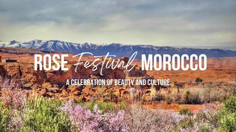 Rose Festival in Morocco: A Celebration of Beauty and Culture